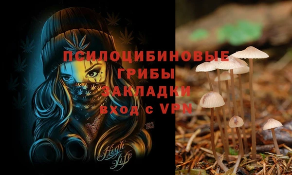 кокс Нефтегорск