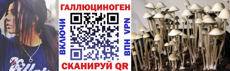 MEGA онион  Подпорожье  Галлюциногенные грибы GOLDEN TEACHER 